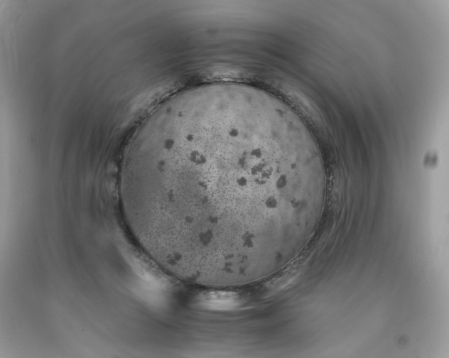 X0000091650361200709061004