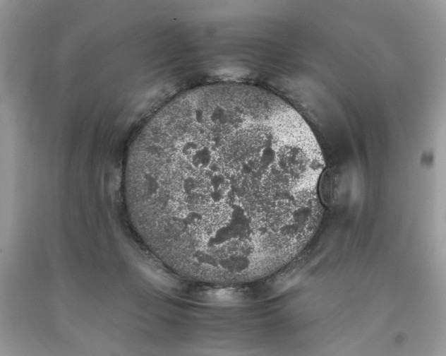 X0000091650365200709061004