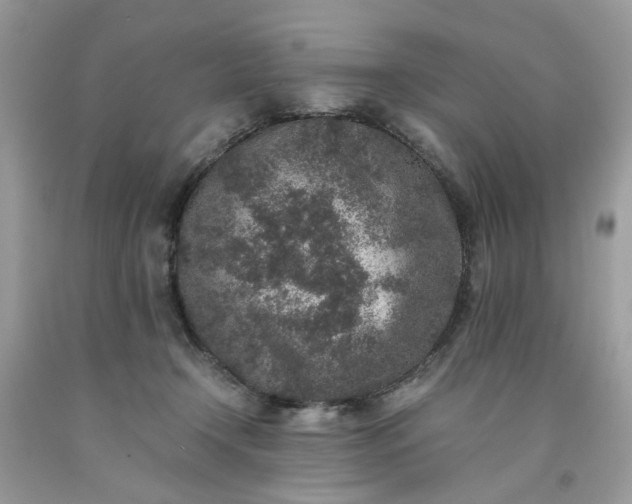 X0000091650366200709061004