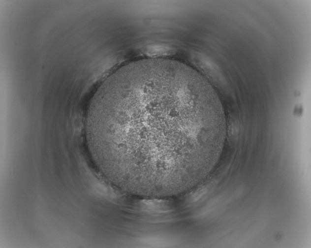 X0000091650367200709061004