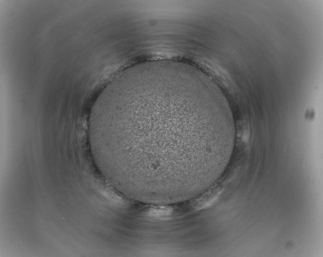 X0000091650369200709061004