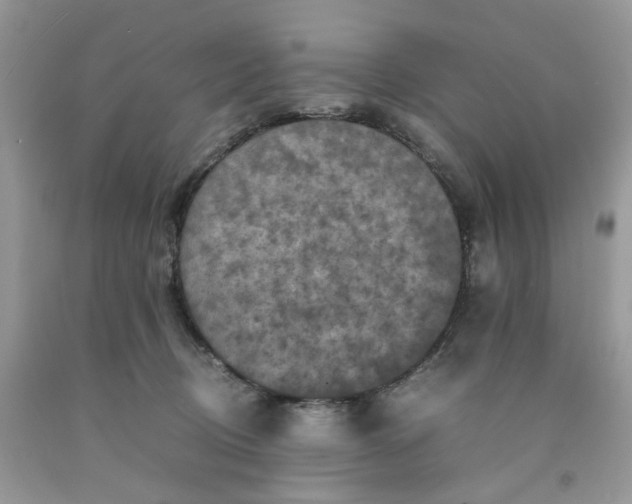 X0000091650370200709061004