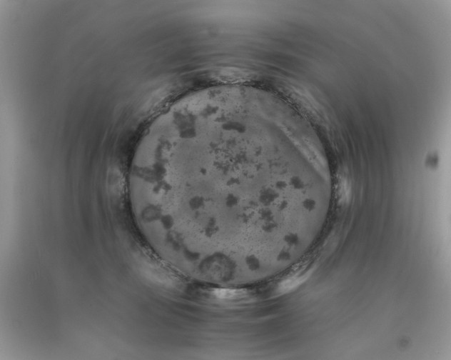 X0000091650371200709061004