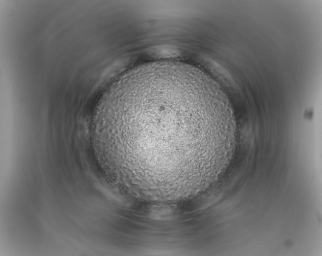 X0000091650373200709061004