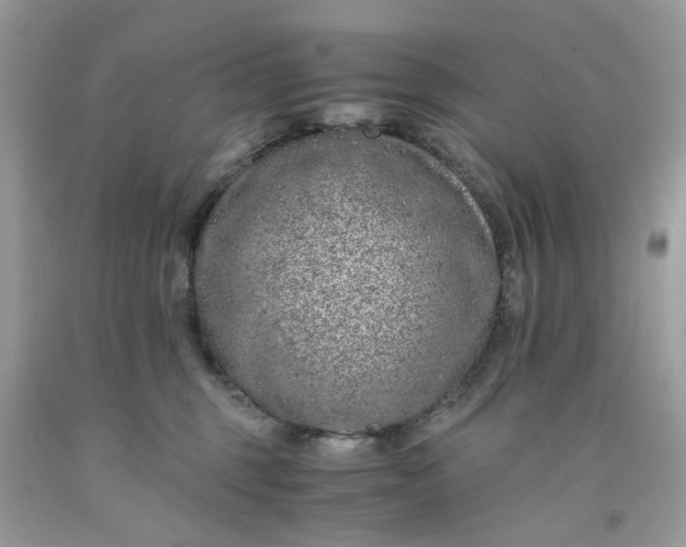 X0000091650375200709061004