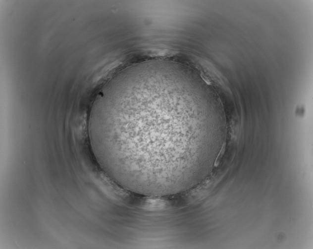 X0000091650376200709061004