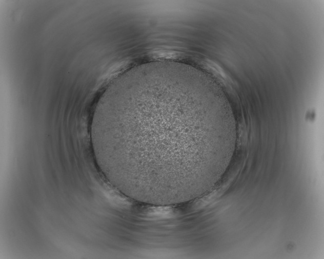 X0000091650377200709061004