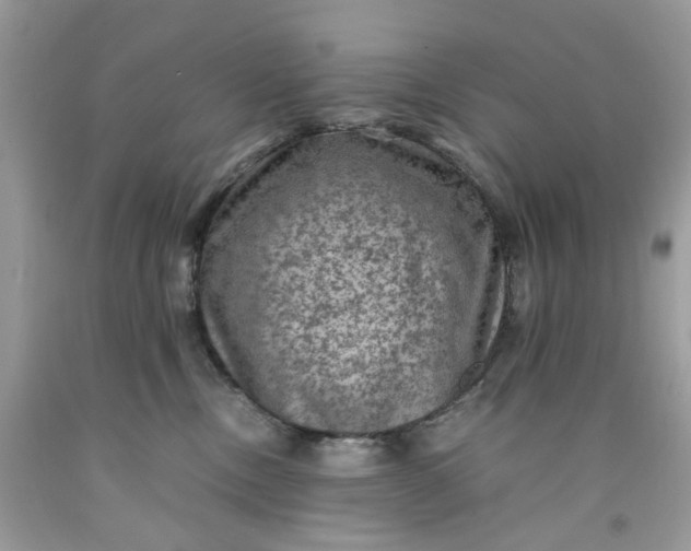 X0000091650378200709061004