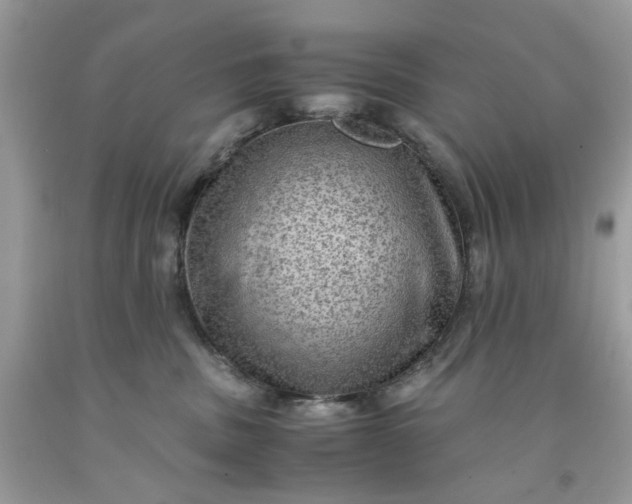 X0000091650379200709061004