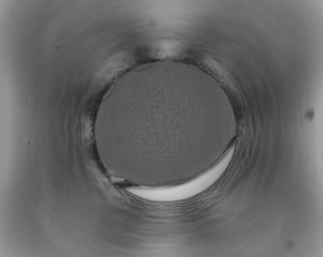 X0000091650380200709061004