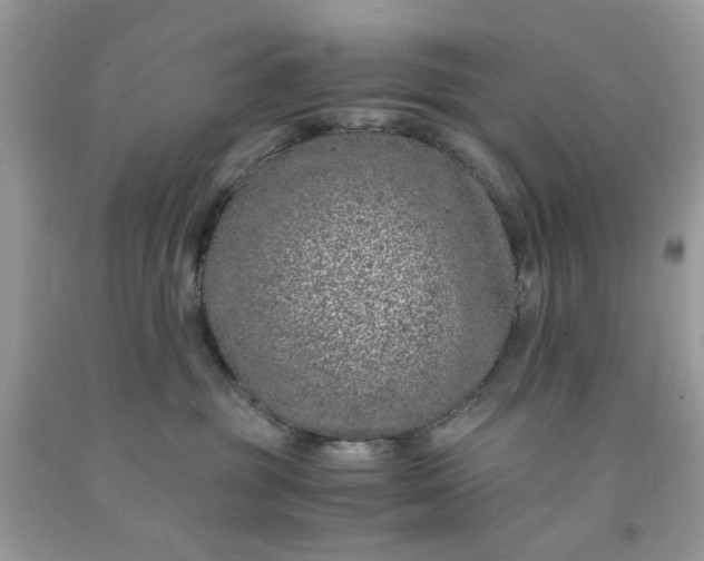 X0000091650381200709061004