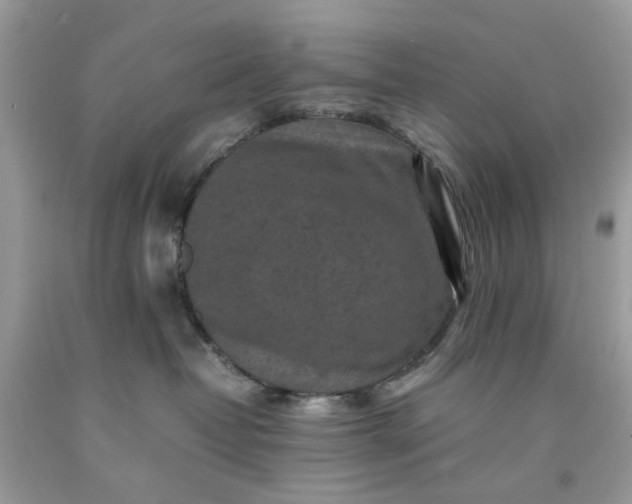 X0000091650382200709061004