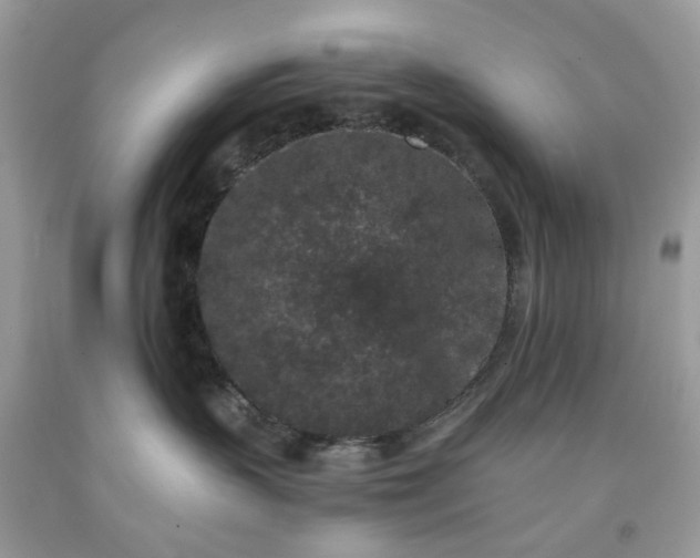 X0000091650383200709061004