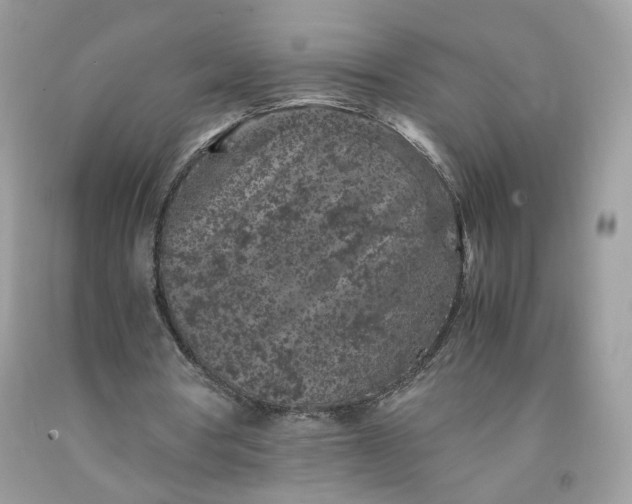 X0000091650386200709061003