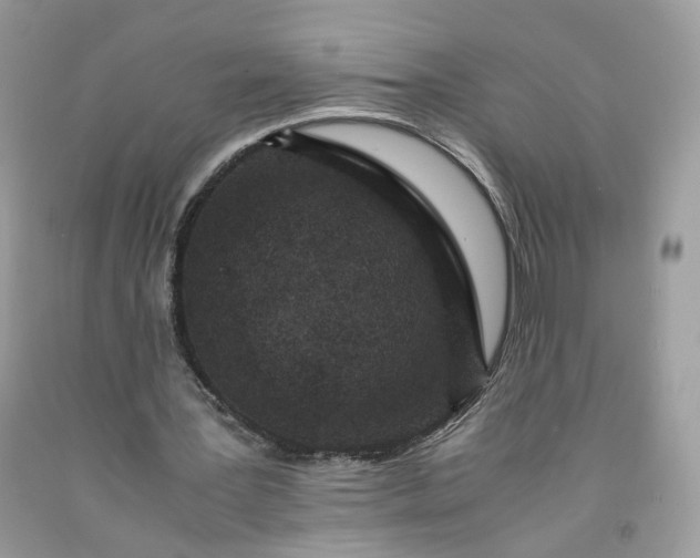 X0000091650387200709061003