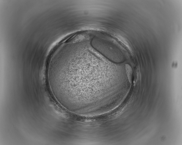 X0000091650388200709061003