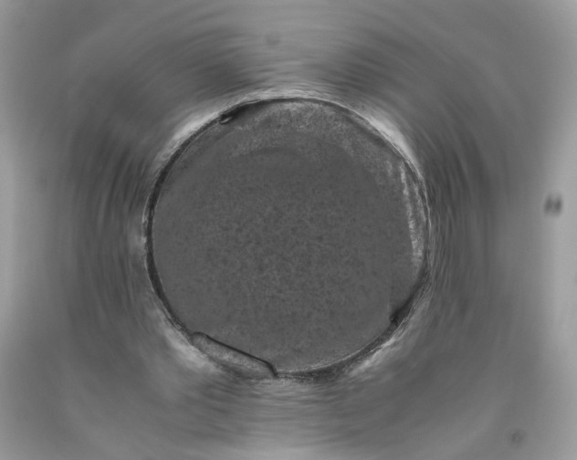 X0000091650389200709061003