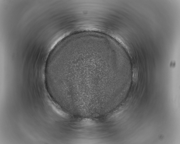 X0000091650390200709061003