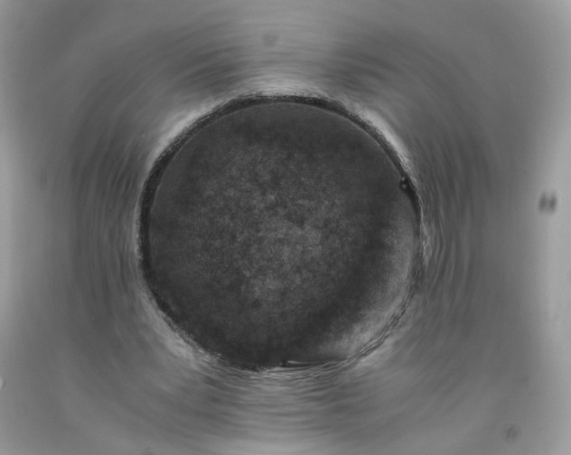 X0000091650391200709061003