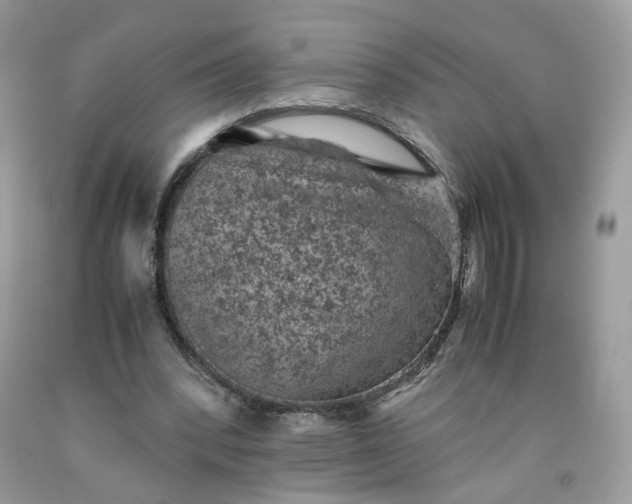 X0000091650392200709061003