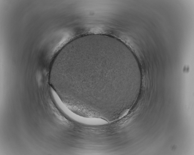 X0000091650393200709061003