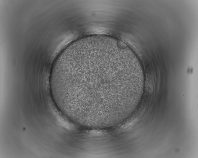 X0000091650394200709061003