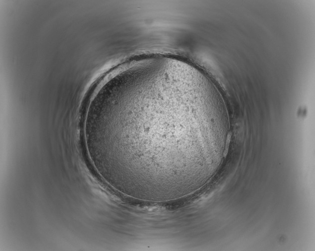 X0000091650395200709061003