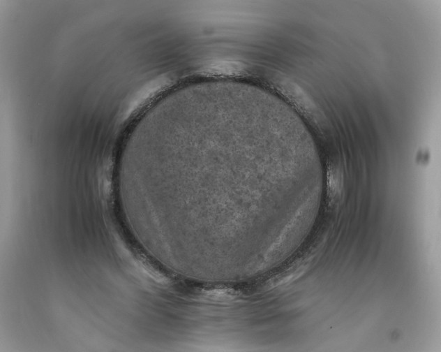 X0000091650396200709061003