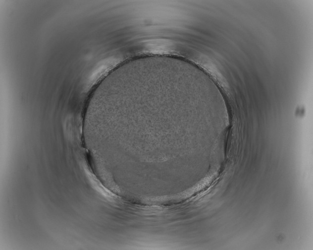 X0000091650397200709061003