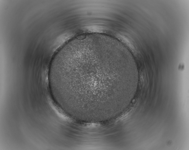 X0000091650398200709061003