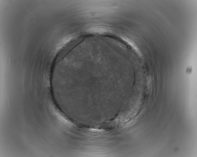 X0000091650399200709061003