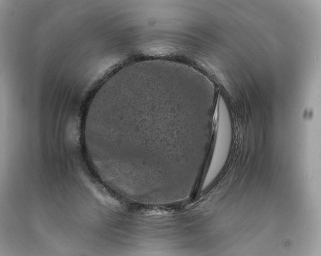 X0000091650400200709061003