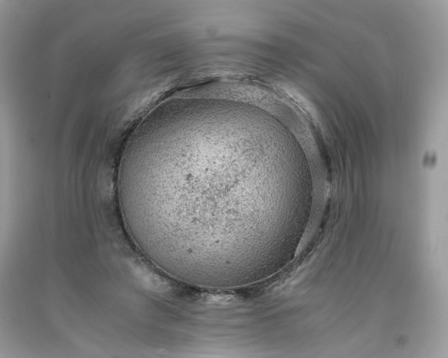 X0000091650401200709061003