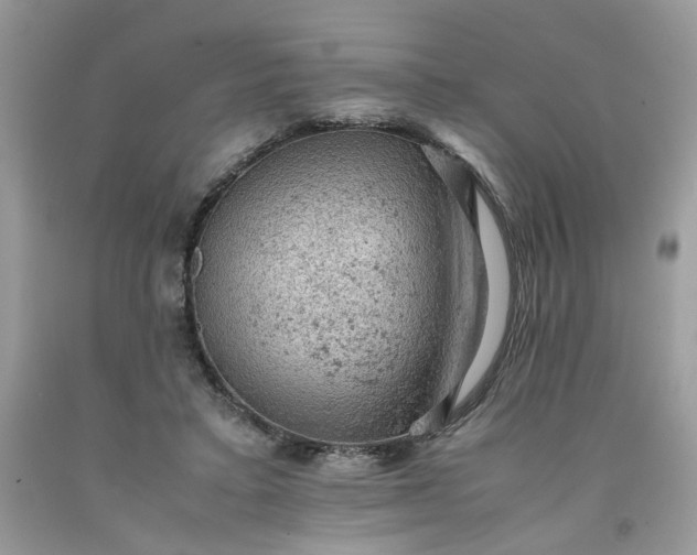 X0000091650403200709061003