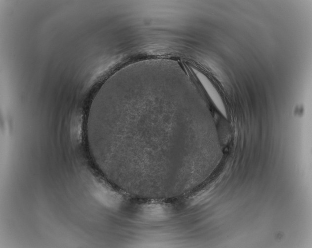 X0000091650404200709061003