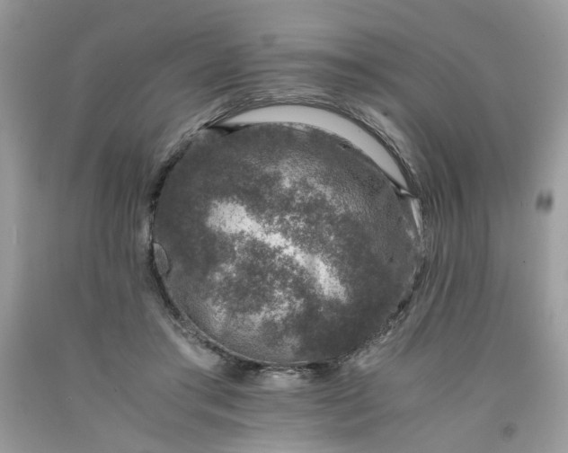 X0000091650405200709061003