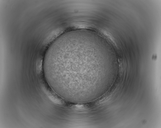 X0000091650406200709061003