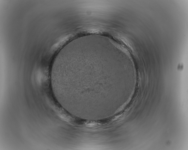 X0000091650407200709061003