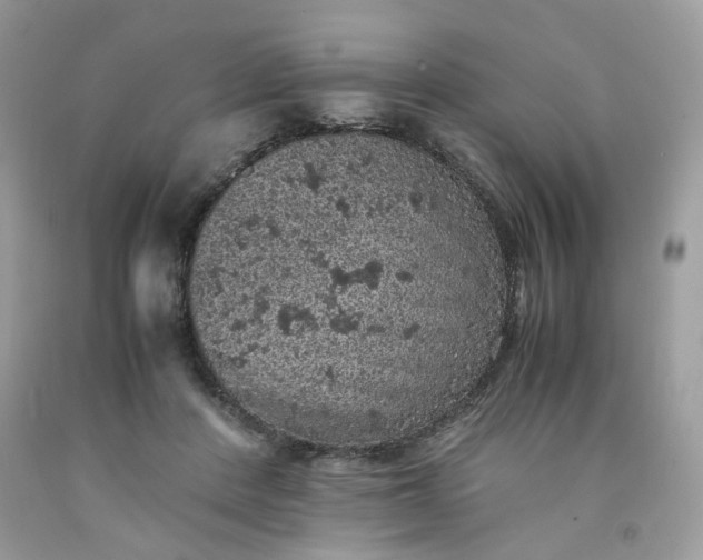 X0000091650408200709061003