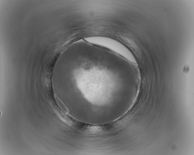 X0000091650409200709061003