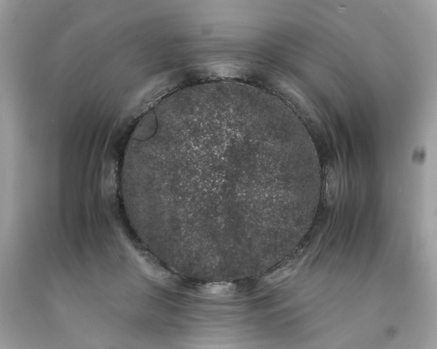 X0000091650410200709061003