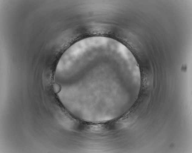 X0000091650411200709061003