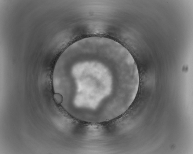 X0000091650415200709061003