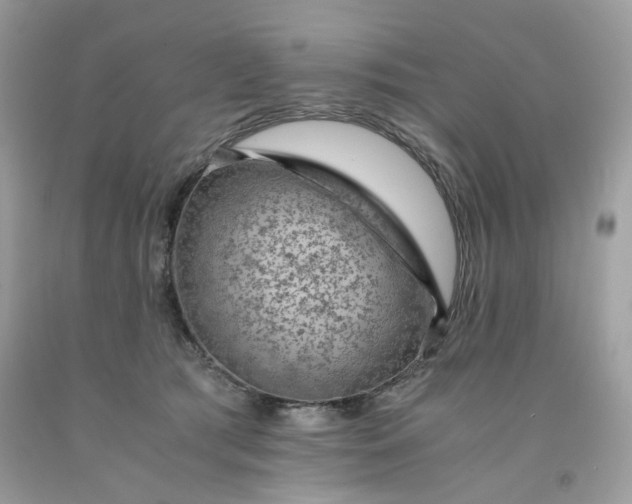 X0000091650417200709061003