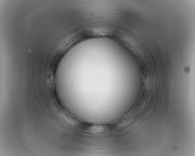 X0000091650418200709061003