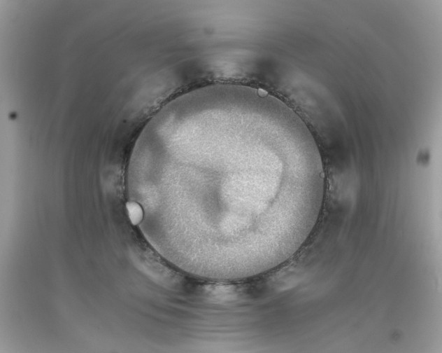 X0000091650419200709061003