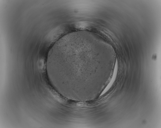 X0000091650420200709061003