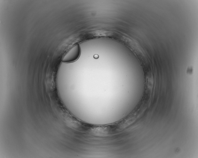 X0000091650422200709061003