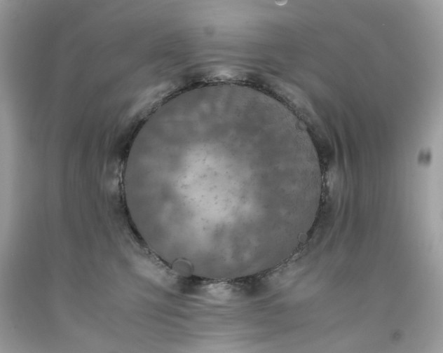 X0000091650423200709061003