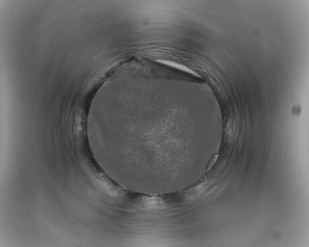 X0000091650424200709061003